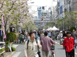 一葉桜・小松橋通り